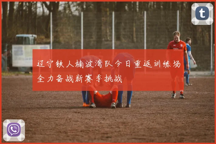 辽宁铁人楠波湾队今日重返训练场全力备战新赛季挑战